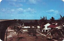 Pigeon Key FL Florida, Overseas Highway, Vintage Postcard picture