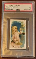 1891 N12 Allen & Ginter Fruits Yellow Muscat, PSA 5, Buy It Now picture