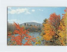 Postcard Scenic River View picture