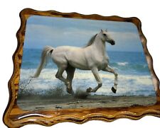 Vintage Wooden Epoxy White Horse Picture 11.5