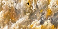Regency Rose Plume Agate rock slabs (2) lapidary cabbing rough picture