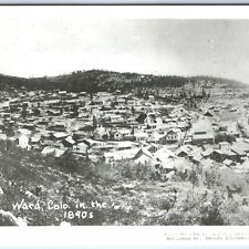 c1950s Ward, Colo 1890s Repro RPPC Birds Eye Real Photo Gebhardt Postcard A170 picture