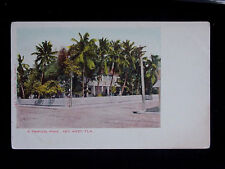 c.1905 Tropical Home Key West FL post card picture