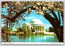 Original Vintage Antique Postcard The Jefferson Memorial Washington D.C. picture