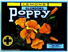 Glendora California Poppy Poppies Flowers Lemon Citrus Fruit Crate Label Print picture