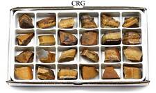 Rough Gold Tiger's Eye Boxed Flat (24 Pieces) (1.25 to 1.75 Inches) Wholesale picture