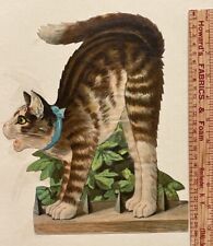 1883 Antique Victorian Large Cat Diecut Kitten  D. Tyler Hunched Back 8 x 10 picture