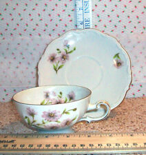 VTG Mitterteich Bavaria Cup & Saucer Daisy Bell Teacup Pink Daisies Germany picture