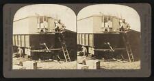 Carrier pigeons with the Army c1900 Old Photo picture