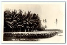 c1940's City Of Refuge Palm Tree View Hawaii HI RPPC Photo Unposted Postcard picture