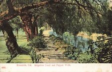 Irrigation Canal & Pepper Walk Riverside California CA 1909 Postcard picture