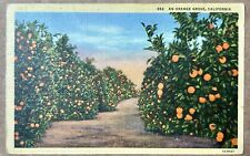 Orange Grove in California. Vintage Postcard. 1944. picture