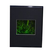 3D Butterfly Hologram Picture DESK STAND, Collectible on Silver Halide Type Film picture