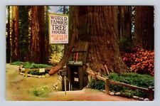 CA-California, World Famous Tree House, Antique, Vintage Souvenir Postcard picture