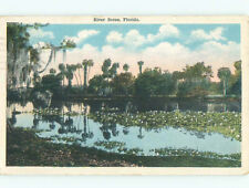 1919 FLORIDA RIVER SCENE Postmarked St. Petersburg Florida FL AE6486 picture