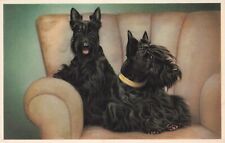 Artist card Two Scottish Terriers Sitting in A Chair Vintage Postcard picture