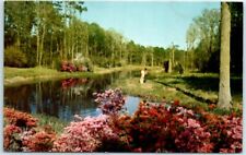 Postcard - Lagoon at Beauvoir, Jefferson Davis Shrine, Biloxi, Mississippi picture