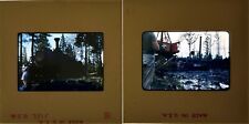Set of 2 (1962) Slides of Lumber Company and Train in Woods picture