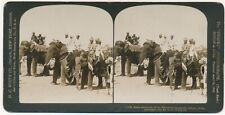 INDIA SV - Jaipur - State Elephants of the Maharaja - HC White c1907 picture