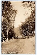c1910's Through The Forest Dirt Road Mohawk Trail MA Antique RPPC Photo Postcard picture