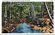 Beautiful Scenic White Mountains New Hampshire NH Flowers River Postcard Note PM picture