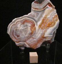 Stunningly Beautiful Polished Display specimen of Laguna Lace Agate Mexico picture