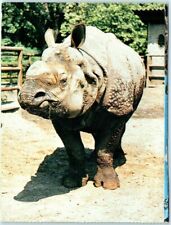 Postcard - Rhinoceros Unicornis - Tierpark, Panzemashomer - Berlin, Germany picture