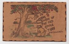 In The Shade of the Old Apple Tree Petaluma, California Humor Leather Postcard picture