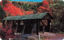 Walton NY New York, Catskill Mountain, Dry Brook Covered Bridge Vintage Postcard picture