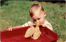 Vintage Postcard 1954 Famous Long Island Ducklings radio flyer wagon and child picture
