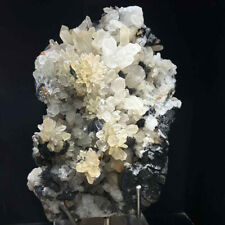 27.5LB Natural Specularite + Clear Quartz Crystal Cluster Mineral Specimen+Stand picture