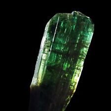 Choice Paprok Facet Deep Green Blue Complex Tourmaline Elbaite Gem Crystal 21 Gs picture