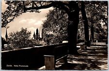 Zurich Hohe Promenade Lush Trees Benches Churches Real Photo RPPC Postcard picture
