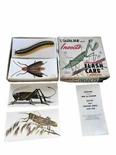 Vintage 1968 Teach Me About Insects Flash Cards Educational Nature Renwal W/inst picture