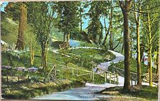 Seattle Marina Park Scenic View Washington Vintage Postcard c1910 picture