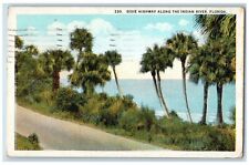 1925 Dixie Highway Along The Indian River Jacksonville Florida FL Postcard picture