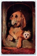 c1910's Dignity And Impudence Dog Puppy Oilette Tuck's Posted Antique Postcard picture