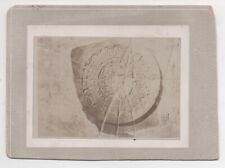 1890s Card Mounted Photo of Aztec Stone Calendar ? picture