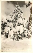 Frashers RPPC Postcard; Wintertime near Eleven Oaks CA Trees in Heavy Snow picture
