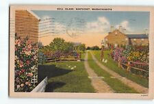 Old Vintage 1948 Postcard of Gull Island Lane in Nantucket MA picture