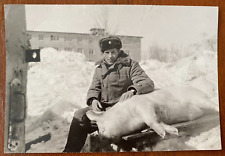 Man slaughtered a pig. Dead pig. It's a scary, strange photo. Vintage photo picture