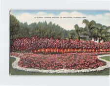 Postcard A Floral Garden Setting in Beautiful Florida USA picture