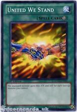 SDDL-EN023 United We Stand 1st Edition Mint YuGiOh Card picture