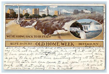 1907 Buffalo Running, Falls, Old Home Week Buffalo NY Posted Antique Postcard picture