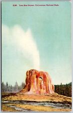Yellowstone National Park Wyoming c1910 Postcard Lone Star Geyser picture
