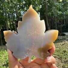 195g natural agate hand carved leaf skull quartz crystal cluster reiki picture