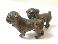 Painted Bronze Pair Pugs Dogs picture