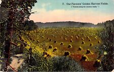 Vintage Postcard 'Our Farmers' Golden Harvest Fields' Hay Piles Iowa 1910s picture