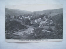 1948 NORTH BRANCH NY PHOTO POSTCARD “BIRDS EYE VIEW OF “ town in valley.  CALLIC picture