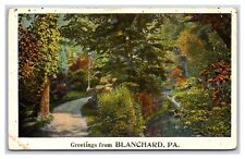 Generic Scenic Greetings Road Blanchard Pennsylvania PA UNP Linen Postcard U21 picture